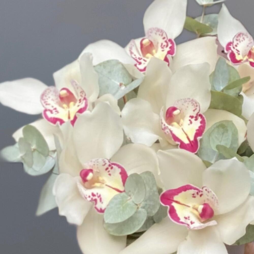 https://content2.flowwow-images.com/data/flowers/1000x1000/06/1681240855_87064206.jpg