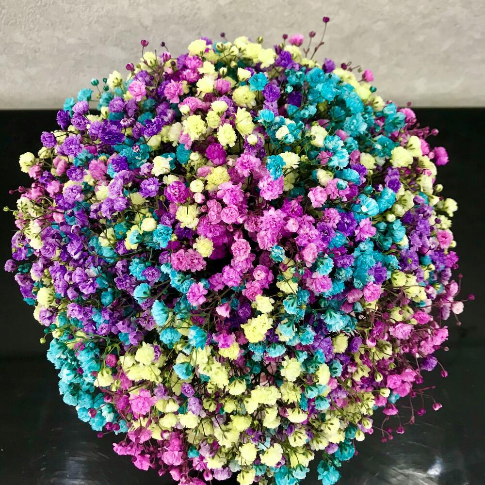 https://content2.flowwow-images.com/data/flowers/1000x1000/57/1682155538_27794257.jpg